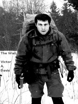 cover image of The Wall